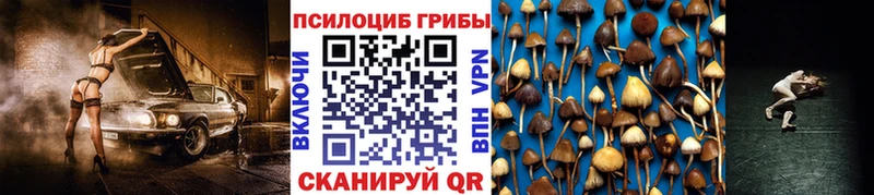 Псилоцибиновые грибы Psilocybe  Яблоновский 