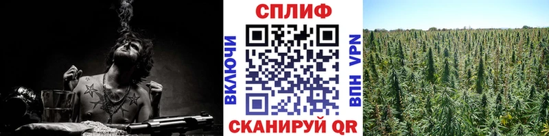 Бошки марихуана THC 21% Яблоновский